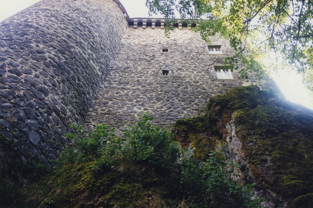 Château de Rochebrune : Façade nord, vue générale