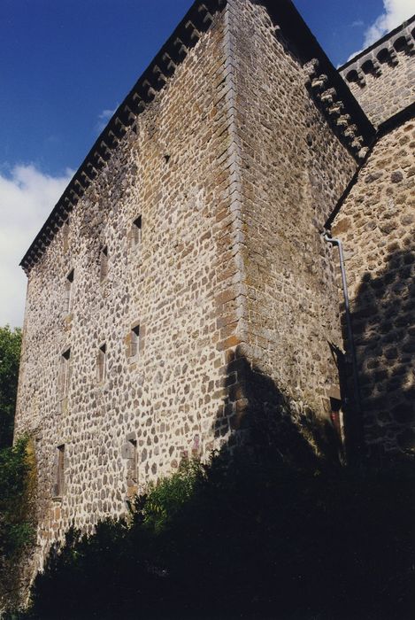 Château de Rochebrune : Façade ouest, vue générale