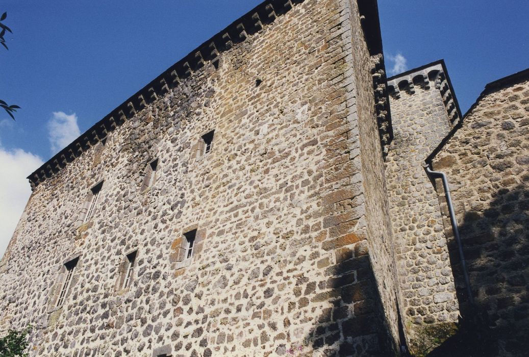 Château de Rochebrune : Façade ouest, vue générale