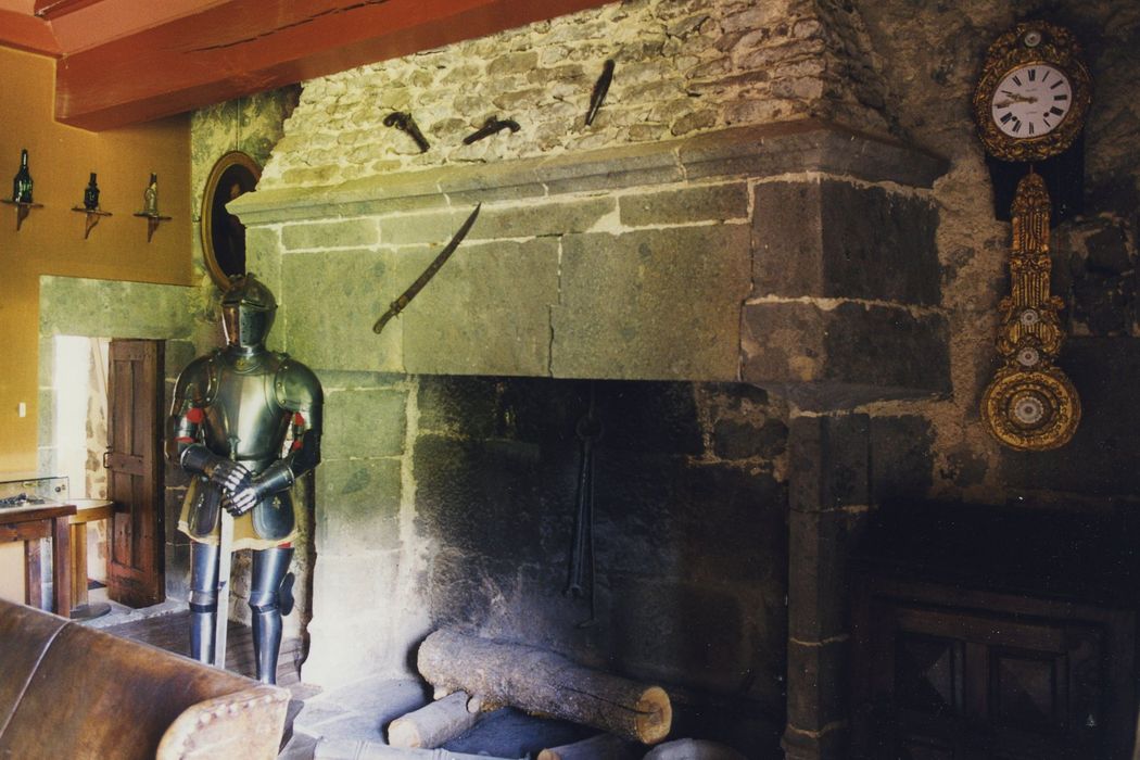 Château de Rochebrune : 3e étage, grande salle, cheminée monumentale, vue générale