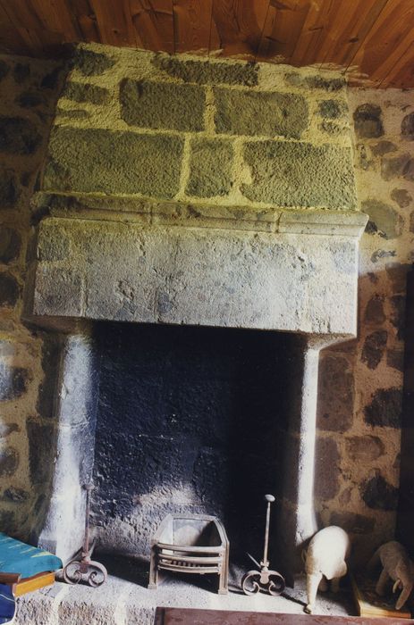 Château de Rochebrune : 3e étage, chambre nord-ouest, cheminée monumentale, vue générale