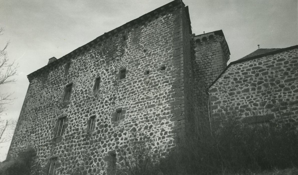 Château de Rochebrune : Façade ouest, vue générale