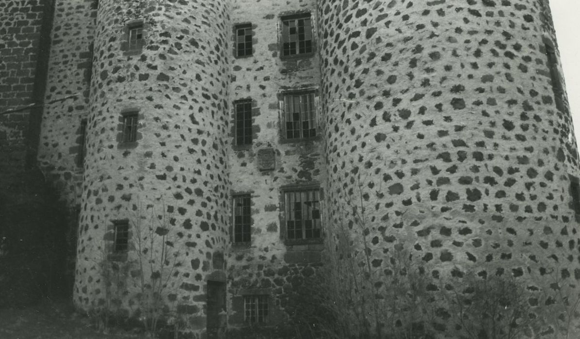 Château de Rochebrune : Façade sud-est, vue partielle