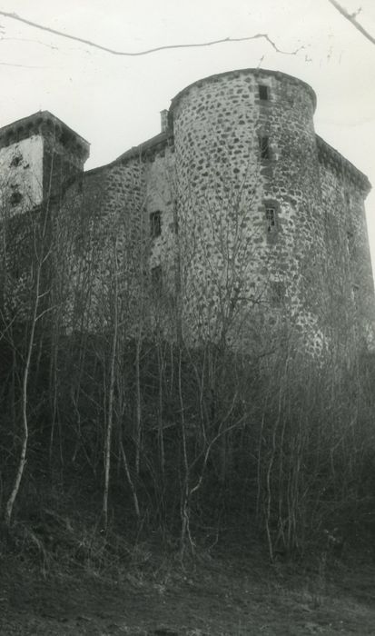 Château de Rochebrune : Ensemble nord-est, vue partielle