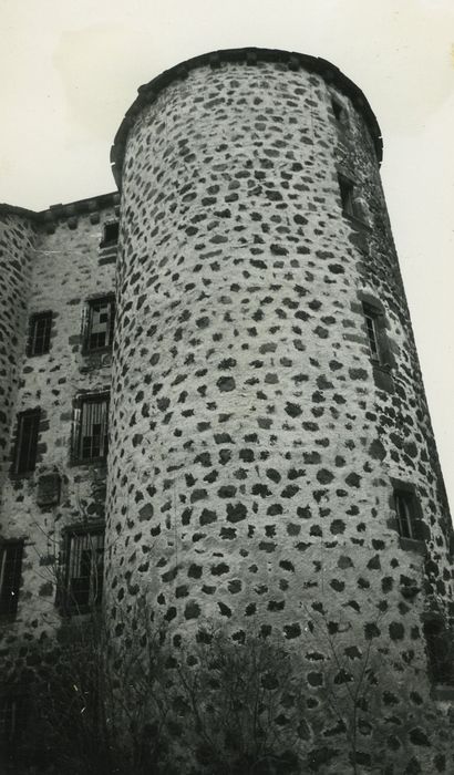 Château de Rochebrune : Tour sud-est, vue générale