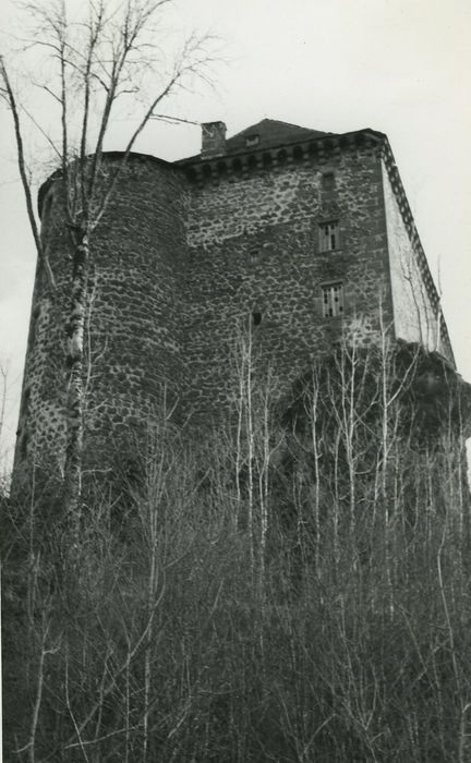 Château de Rochebrune : Façade nord, vue générale