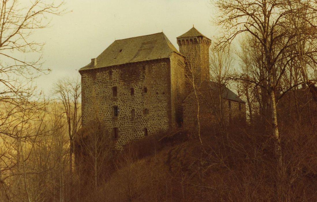 Château de Rochebrune : Ensemble ouest, vue générale