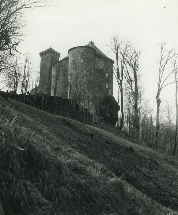 Château de Rochebrune : Ensemble sud-est, vue générale