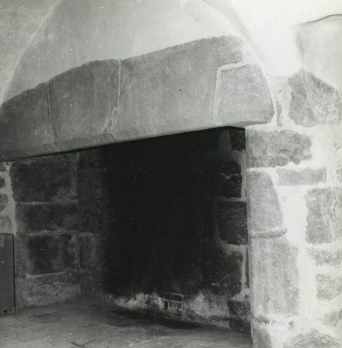 Château de Rochebrune : 1er étage, cheminée, vue générale