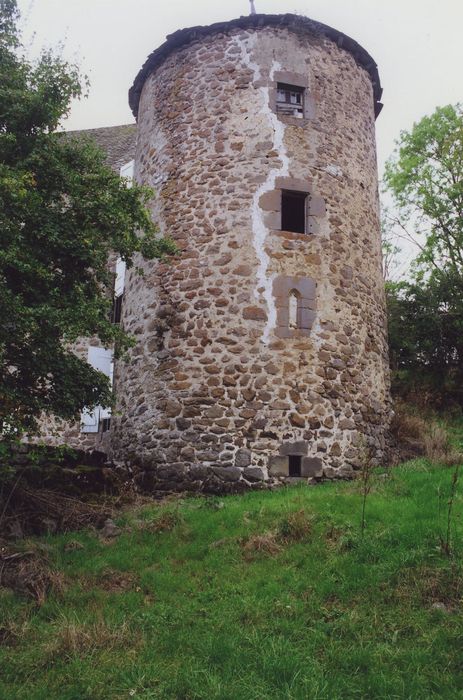 Château d'Estresses : Tour sud-est, vue générale