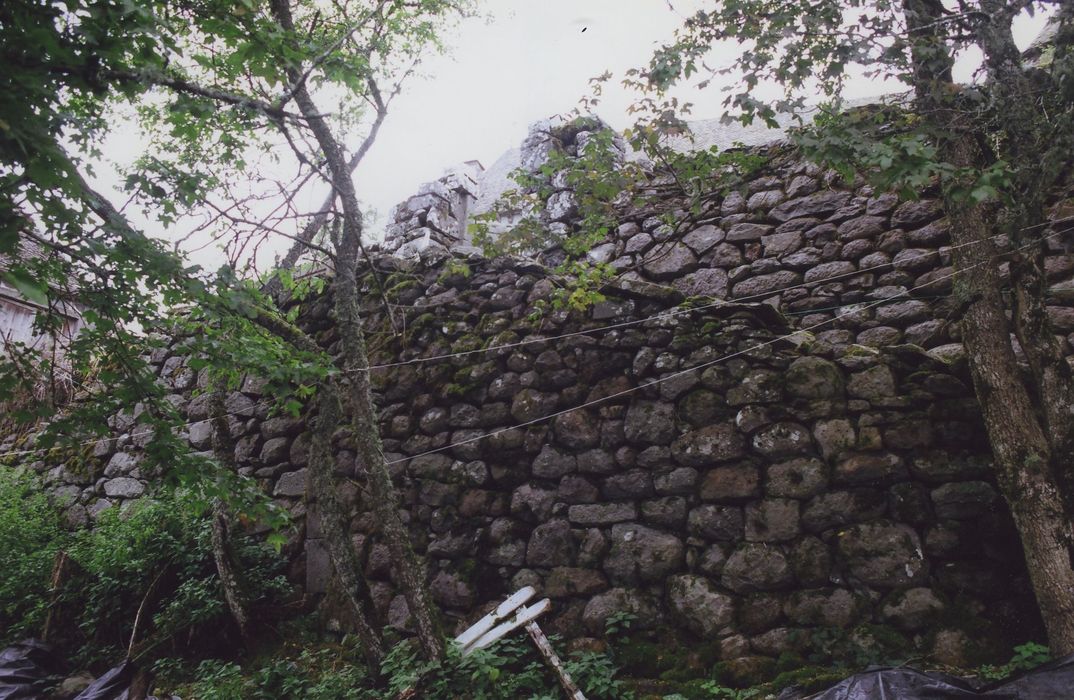 Château d'Estresses : Vue partielle d’un mur de soutènement des terrasses