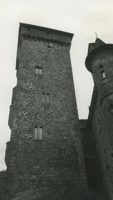 Château fort de Pesteils : Donjon, élévation sud, vue générale