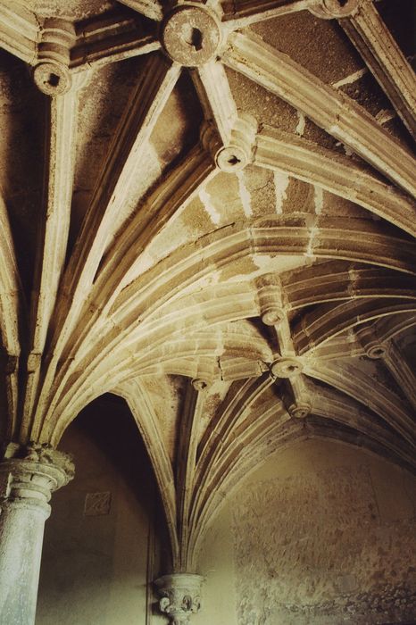 Château de Messilhac : Escalier monumental, pallier du 1er étage, détail des voûtes