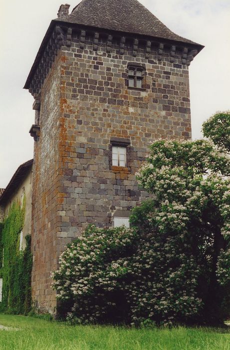 Château de Broussette : Donjon, élévations sud et ouest, vue générale