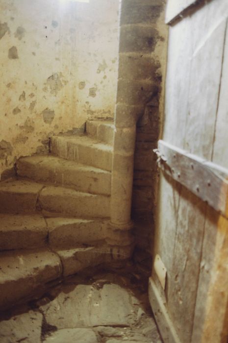 Château de Broussette : Donjon, escalier à vis, vue partielle