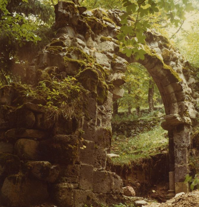 Eglise Saint-Clément : Ruines du portail, vue générale