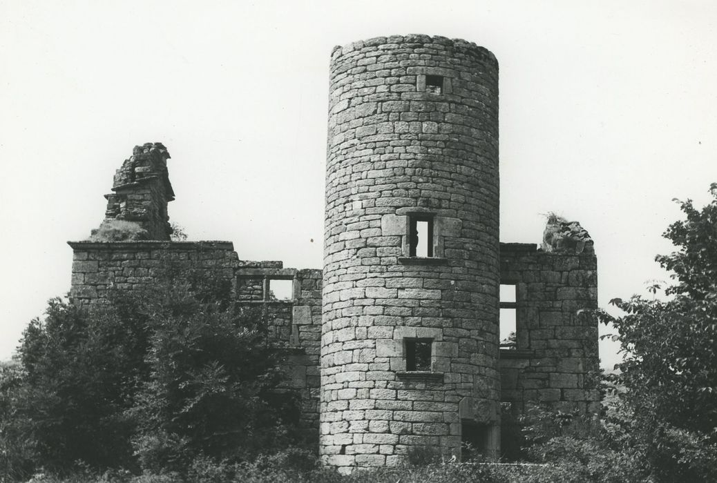 Manoir du Mazonric : Façade sud, vue générale