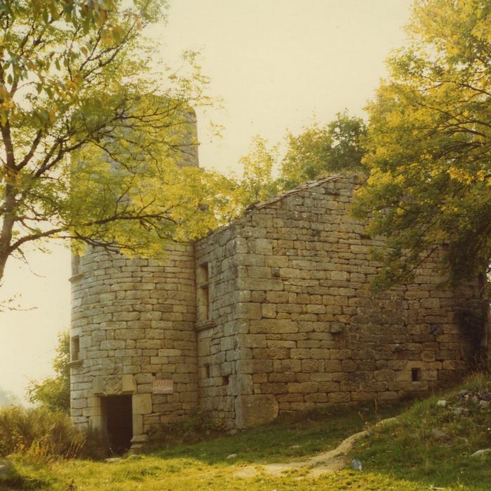 Manoir du Mazonric : Ensemble sud-est, vue générale