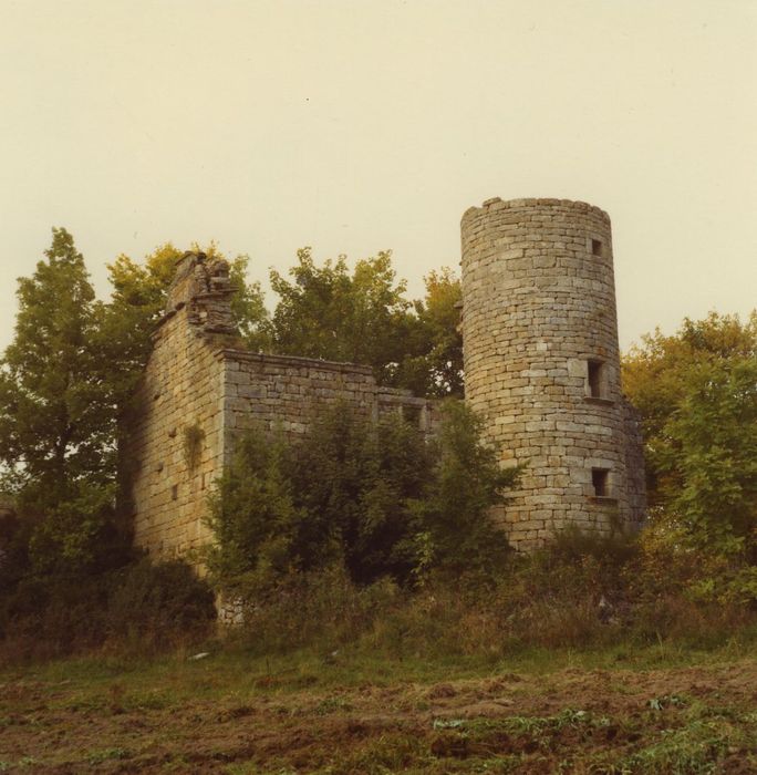 Manoir du Mazonric : Ensemble sud-ouest, vue générale