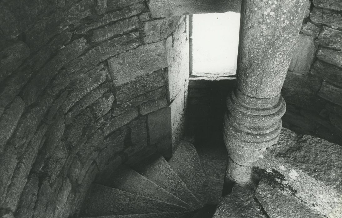 Manoir du Mazonric : Escalier à vis, vue partielle