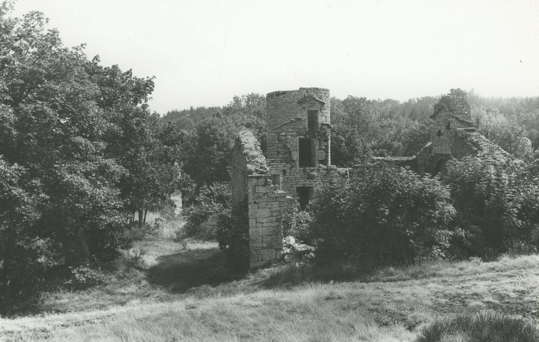 Manoir du Mazonric : Ensemble nord, vue générale