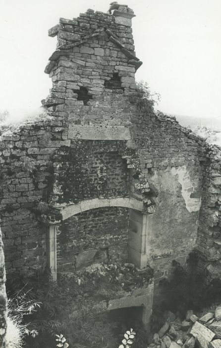 Manoir du Mazonric : Pignon ouest, vue générale des cheminées monumentales