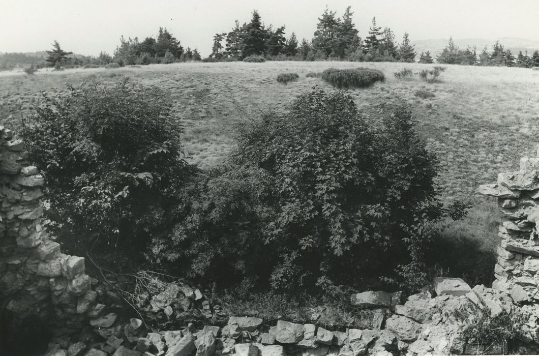 Manoir du Mazonric : Vue partielle des ruines nord du corps de logis