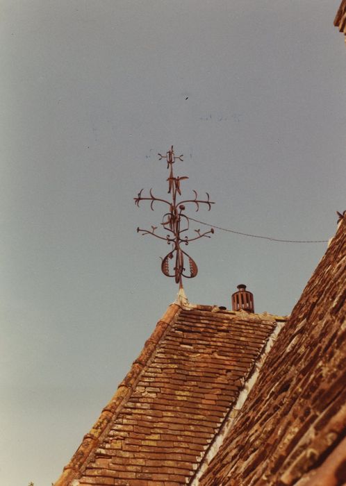 Château de Saint-Léger : Détail d’une girouette