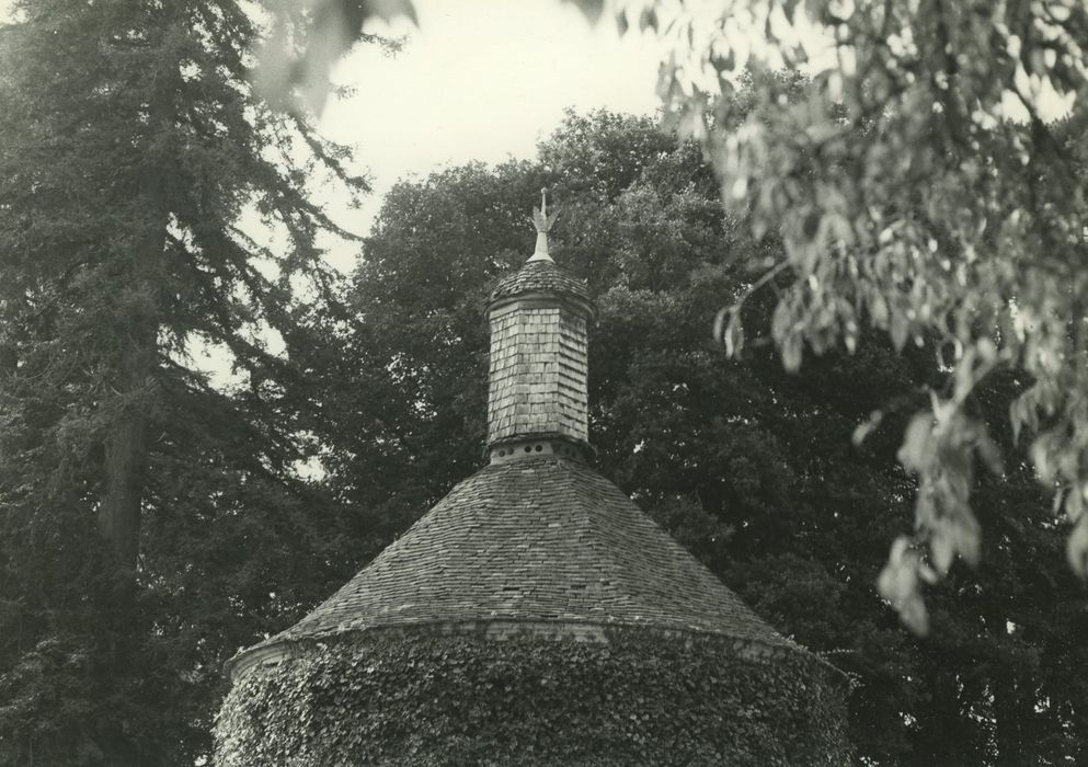 Château de Saint-Léger : Colombier, vue partielle