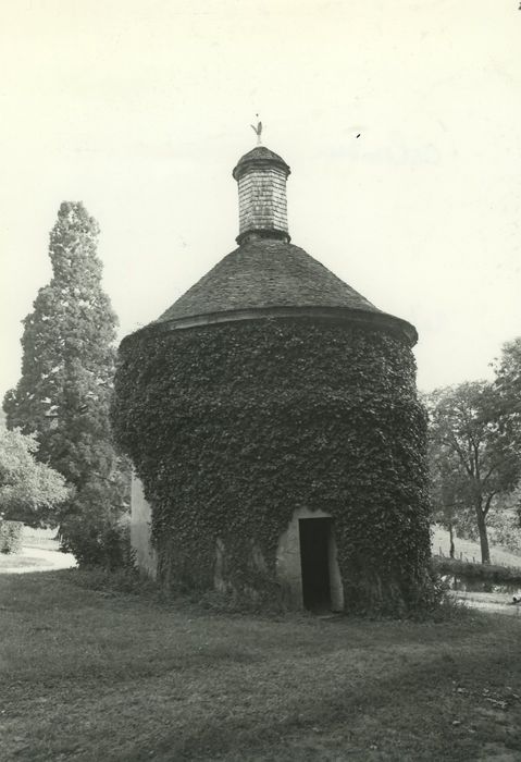 Château de Saint-Léger : Colombier, vue générale