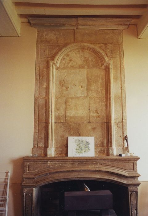 Château de Saulières : Ancien château, détail d’une cheminée