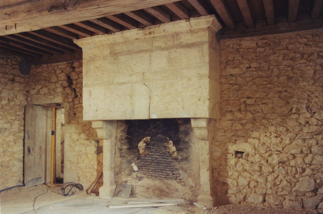 Château de Saulières : Ancien château, cheminée monumentale, vue générale