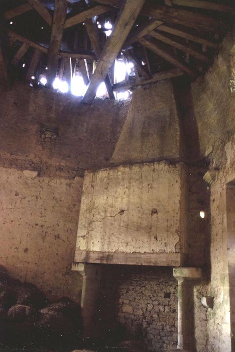 Château des Créneaux : Donjon, cheminée monumentale, vue générale