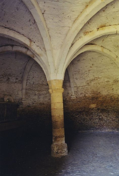 Château des Créneaux : Donjon, salle circulaire, vue partielle