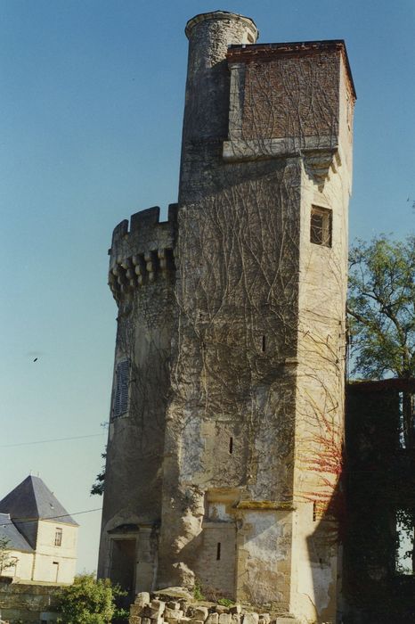 Château des Bordes : Tour est, vue générale