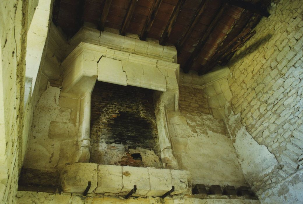 Château des Bordes : Tour est, cheminée monumentale, vue générale