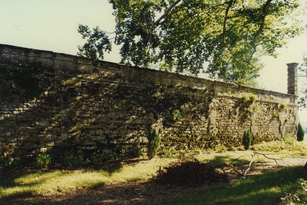 Château des Bordes : Mur de la terrasse situé dans le prolongement de l’aile sud-est, vue partielle