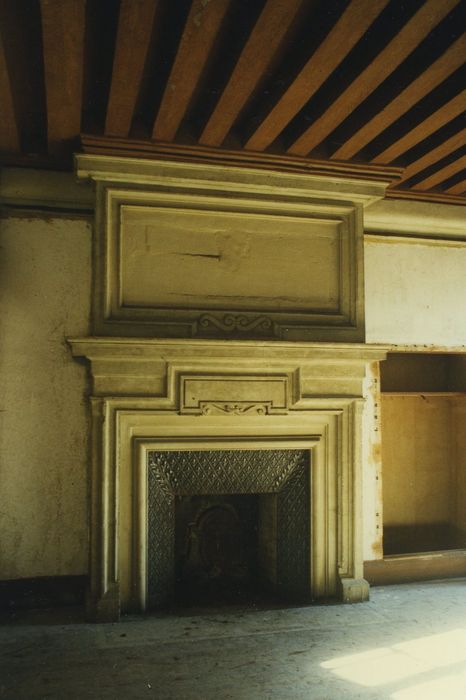 Château des Bordes : 1er étage, cheminée monumentale, vue générale