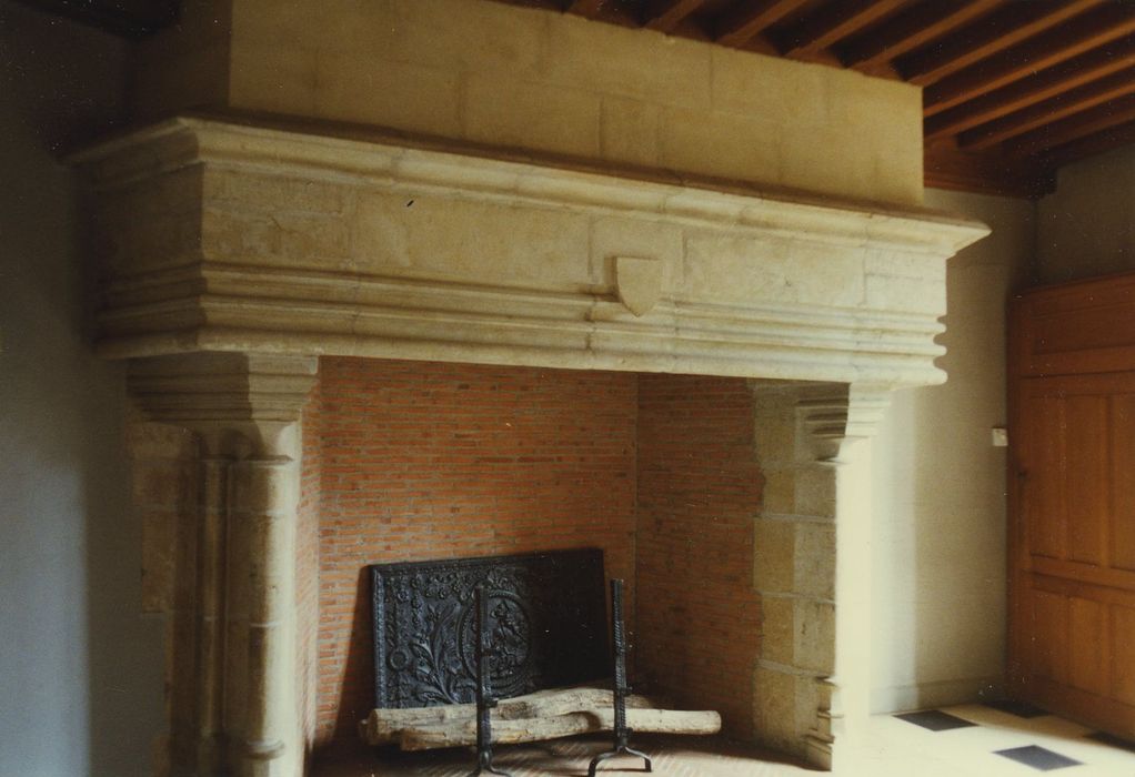 Château de Vandenesse : 1er étage, cheminée monumentale, vue générale