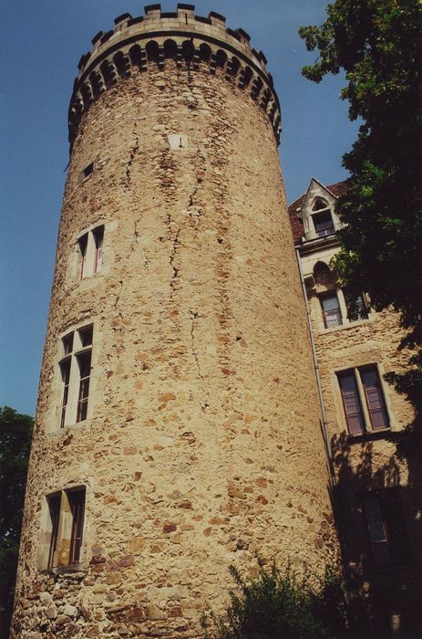 Château de Paulhac : Donjon, vue générale