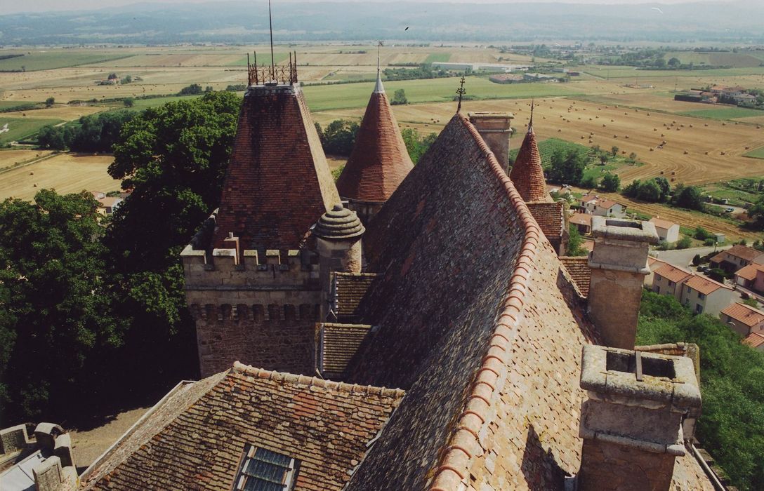 Château de Paulhac : Ensemble des toitures, vue partielle