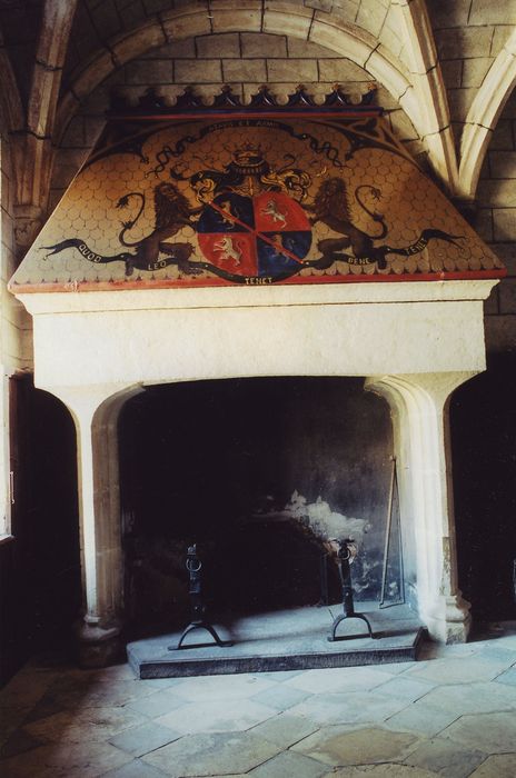 Château de Paulhac : Vestibule, cheminée, vue générale