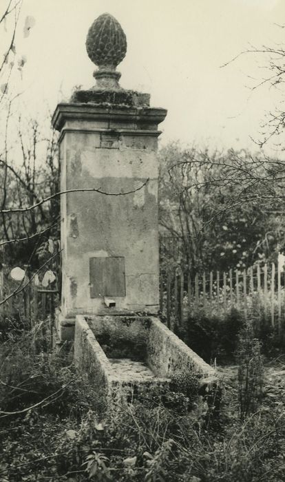 Hôtel de Chevannes : Fontaine abreuvoir, vue générale