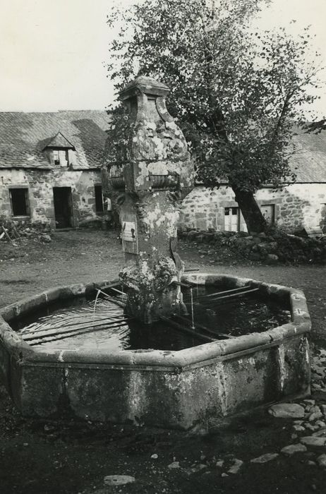 Fontaine à bassin octogonal, vue générale