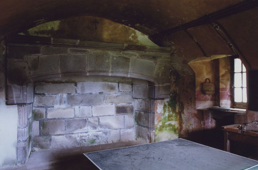 Château d'Anterroches : Soubassement, anciennes cusines, cheminée monumentale, vue générale