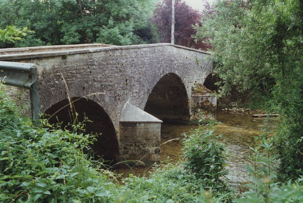 Pont sur l'Ource, vue générale en aval