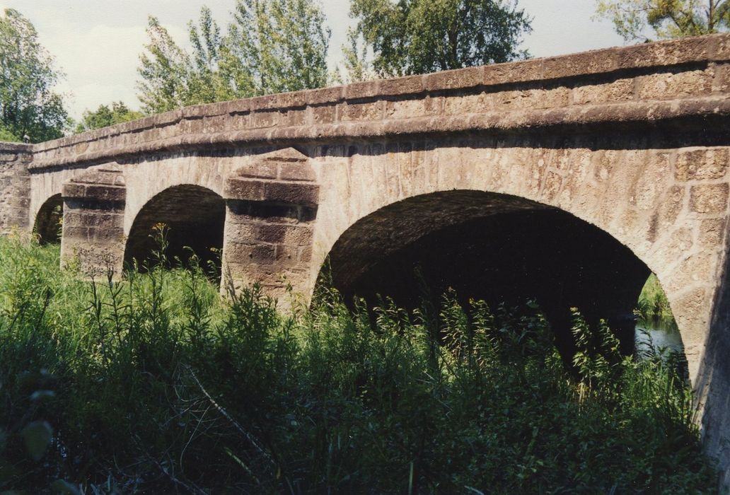 Pont dit  « arche Noue Nodart » : Face sud, vue générale