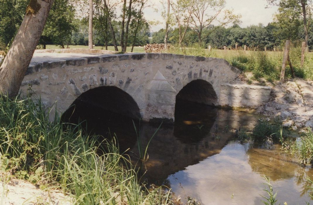 Pont et chaussée surélevée de l'ancien château de Jaillac : Pont n°1, face est, vue générale