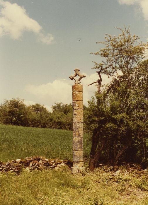 Vue générale