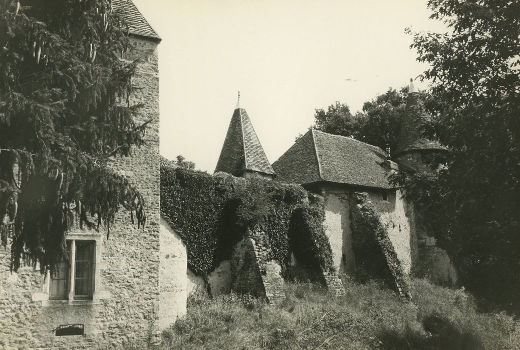 Château : Mur d’enceinte sud, vue partielle